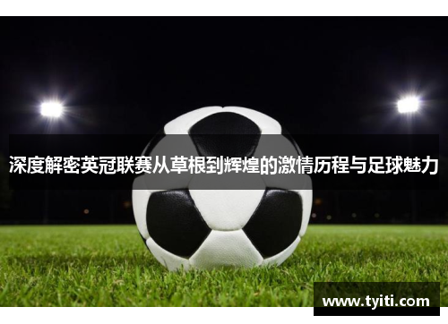 深度解密英冠联赛从草根到辉煌的激情历程与足球魅力